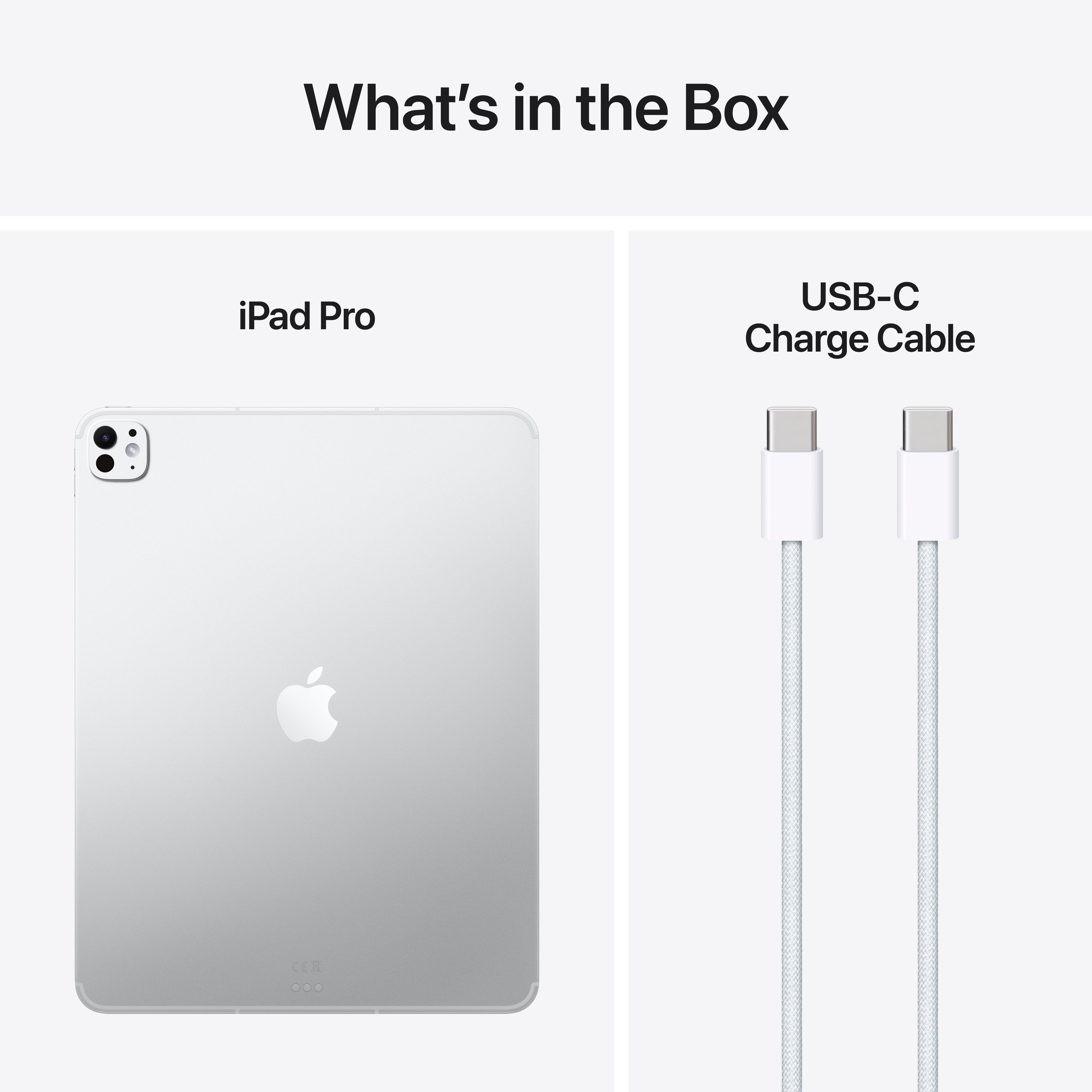 iPad Pro 13" 2TB Wifi + Cellular 10-Core 10-Core M5 - Silver image 9